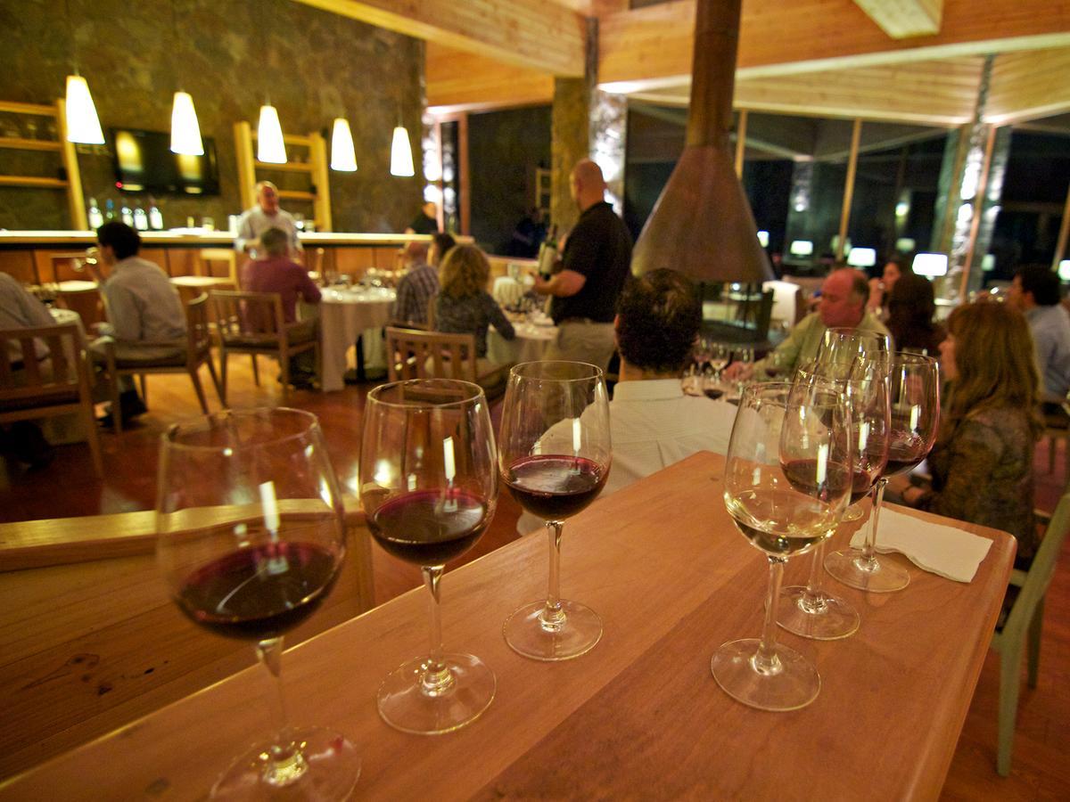Noi Puma Lodge Machalí Zewnętrze zdjęcie