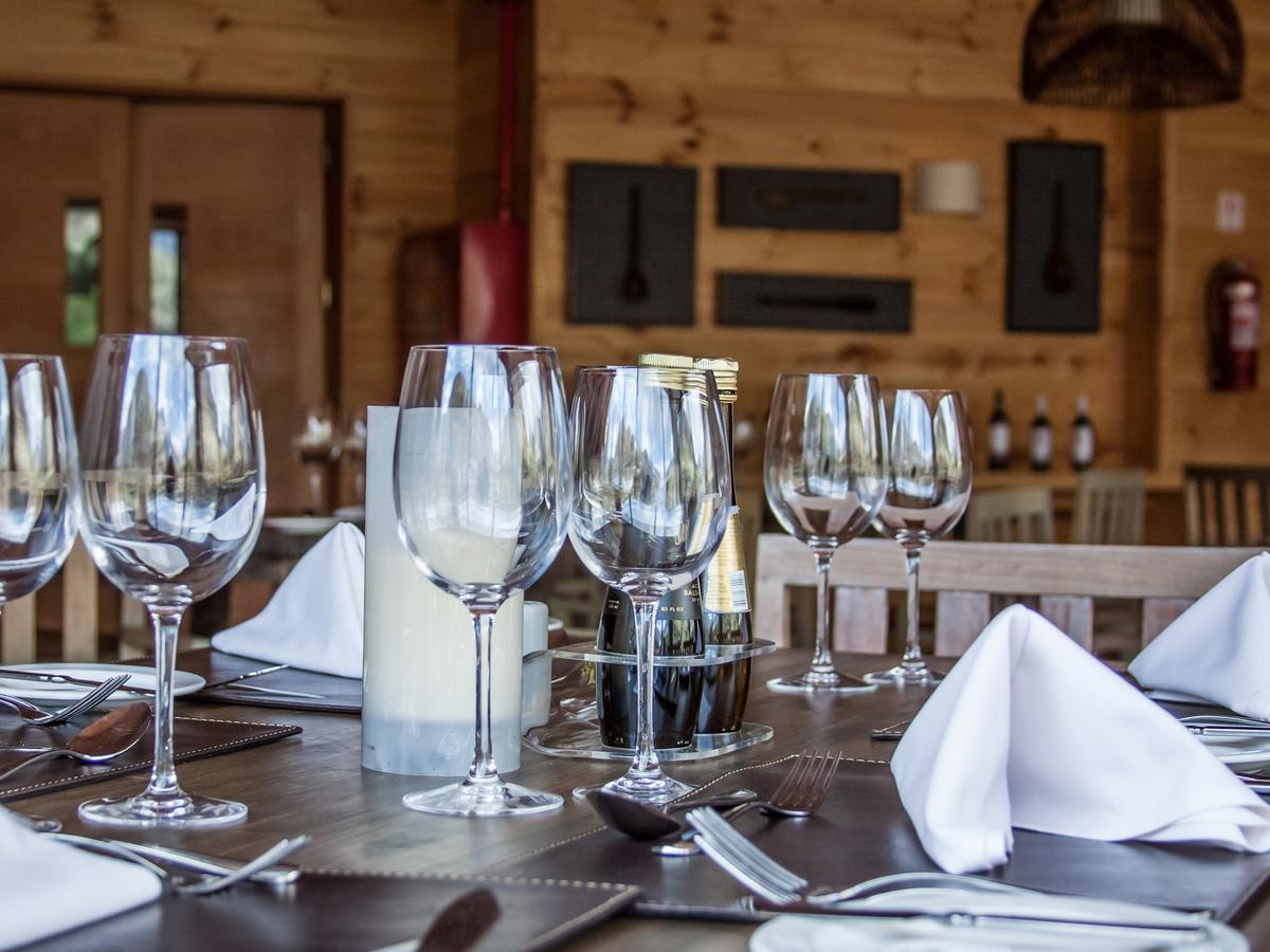 Noi Puma Lodge Machalí Zewnętrze zdjęcie