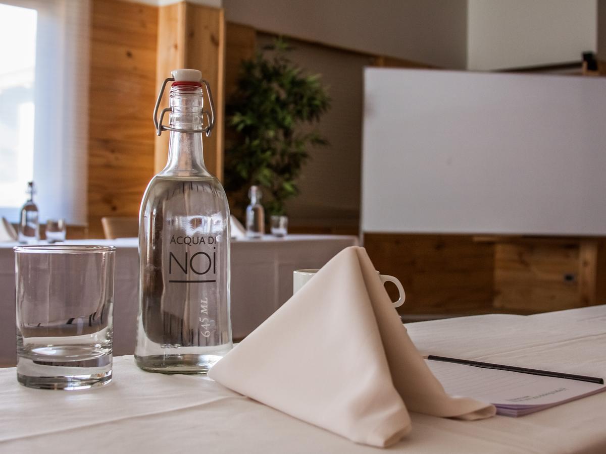 Noi Puma Lodge Machalí Zewnętrze zdjęcie