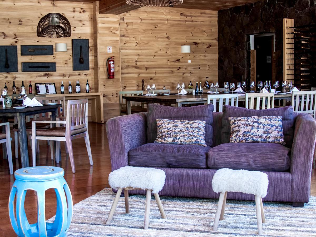 Noi Puma Lodge Machalí Zewnętrze zdjęcie