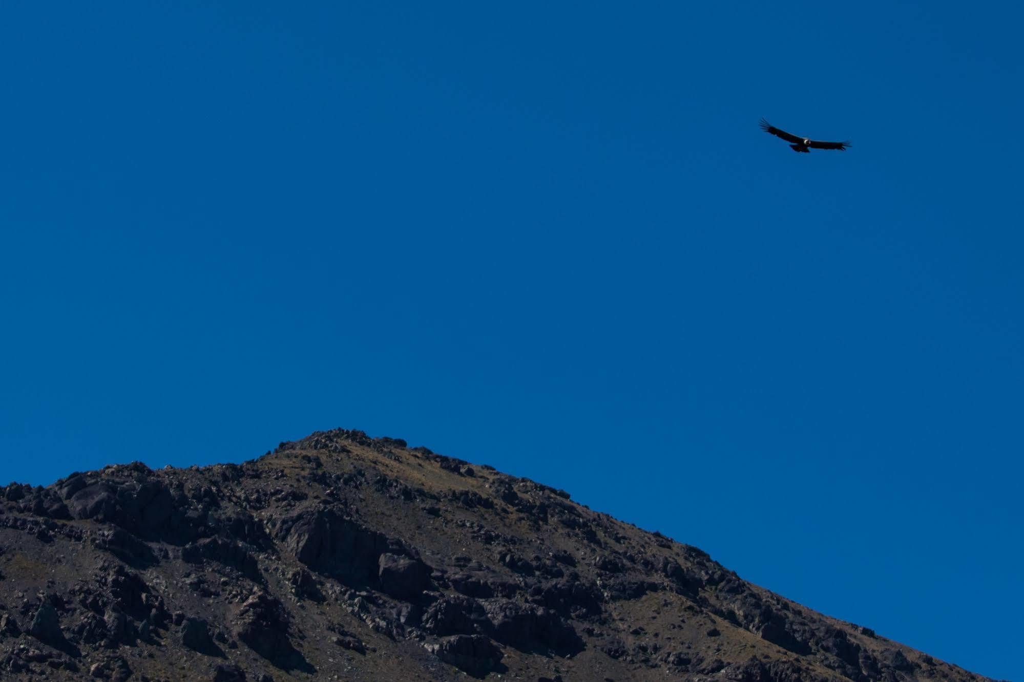 Noi Puma Lodge Machalí Zewnętrze zdjęcie